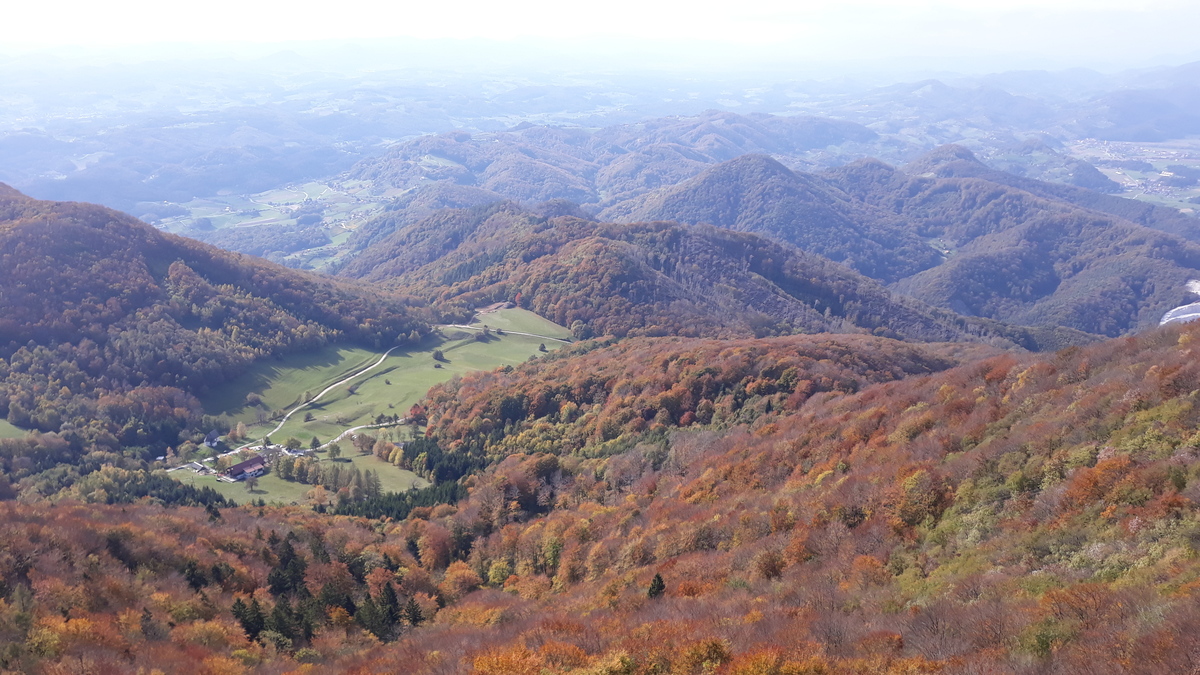 Pogled s stolpa jeseni