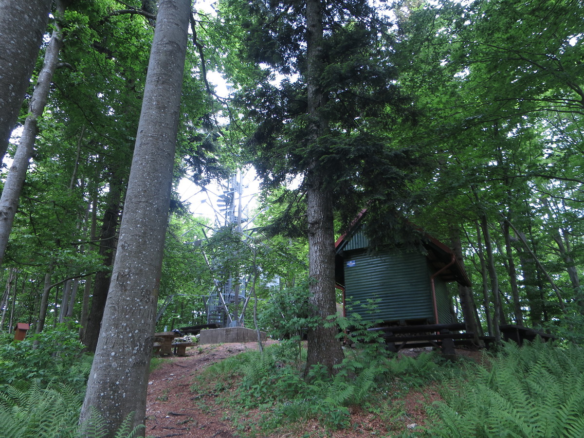 Stolpnik