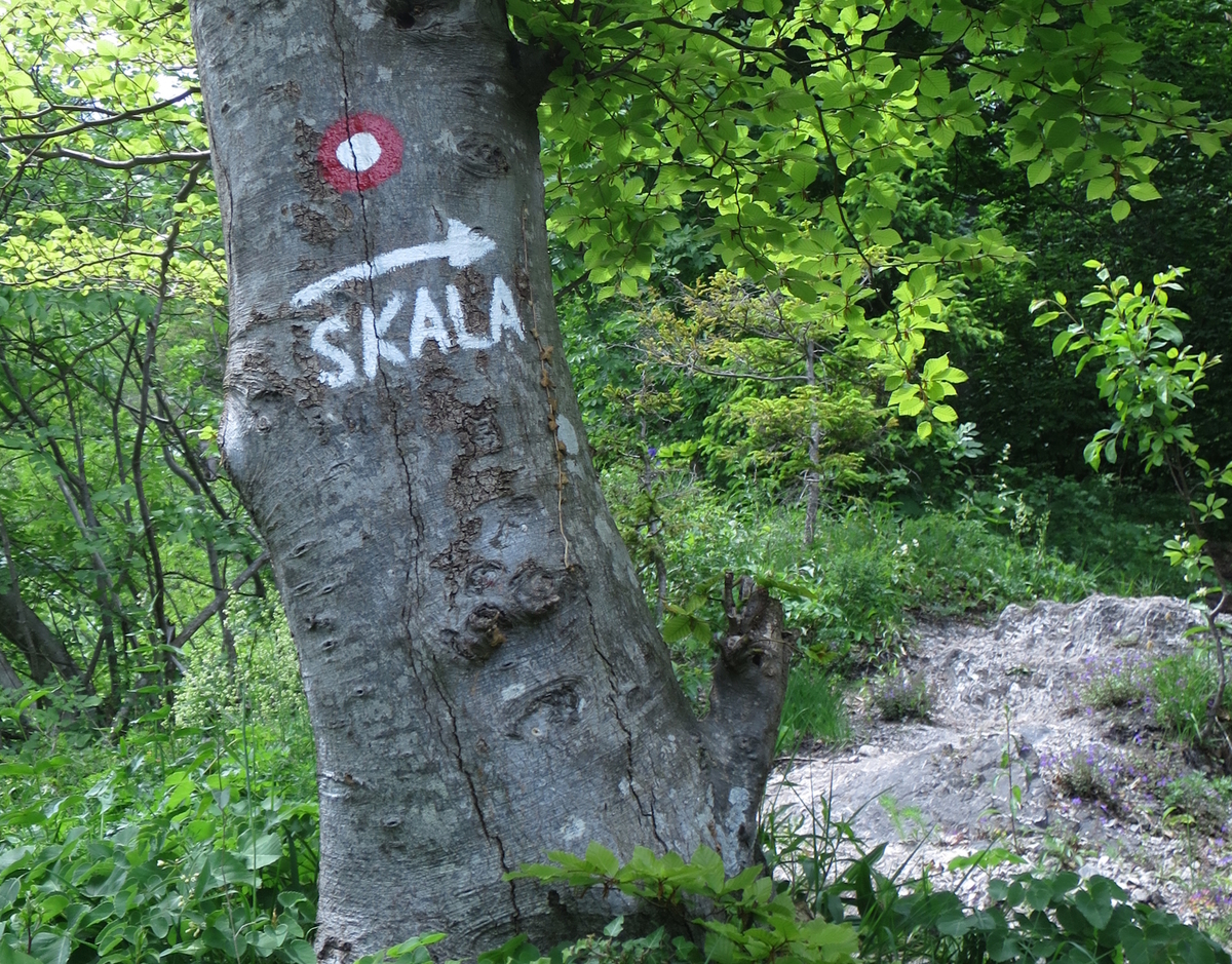 Pot na Skalo je dobro označena